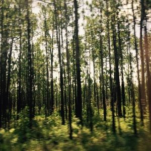 Meet your Posher, Josiah